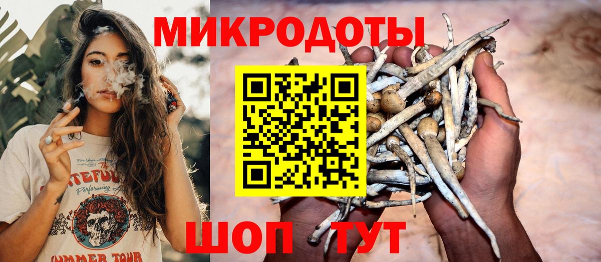 Кунгур  Псилоцибиновые грибы мухоморы  Галлюциногенные грибы GOLDEN TEACHER  купить   Вход с VPN 