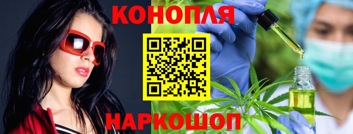 Кунгур  Бошки Шишки ГИДРОПОН  Каннабис Ganja  Марихуана планчик  Вход с VPN 